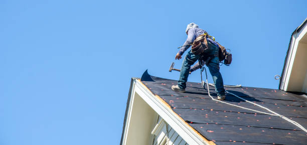 Best Commercial Roofing Services  in Fernley, NV